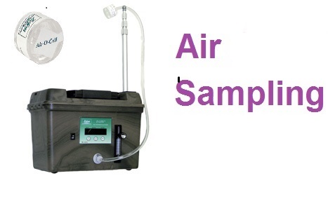TampaBayMold.net - Brandon FL