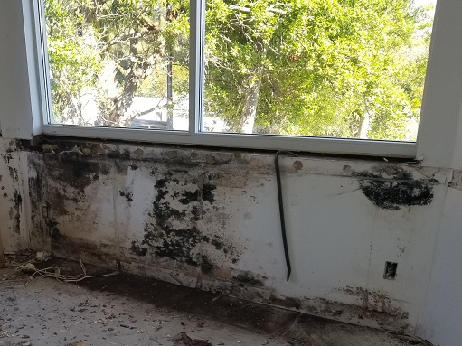 TampaBayMold.net - Brandon FL